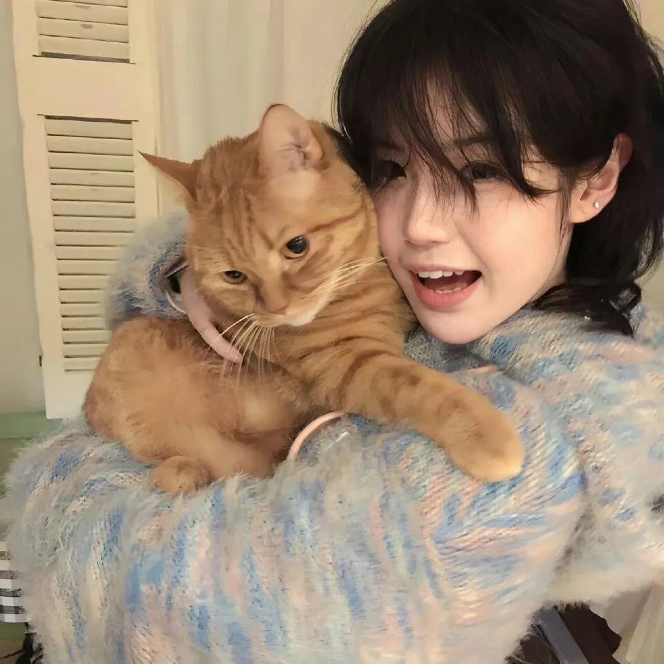 滚红滚绿滚天光